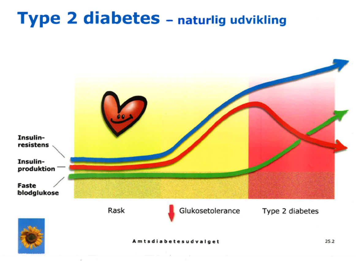 Den naturlige udvikling af diabetes